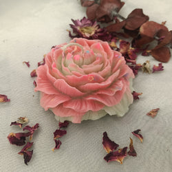 Pastel Pink Peony - Set of 1