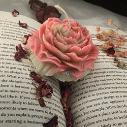 Pastel Pink Peony - Set of 1