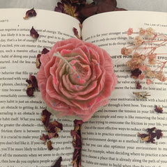 Pastel Pink Peony - Set of 1