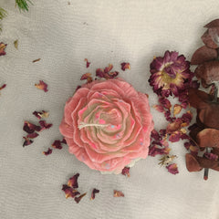 Pastel Pink Peony - Set of 1