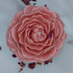 Classic Rose Pink Peony - Set of 1