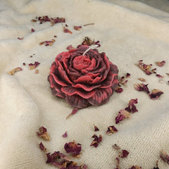 Red & Burgundy Peony - Set of 1