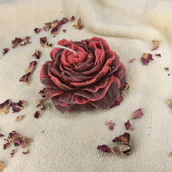 Red & Burgundy Peony - Set of 1