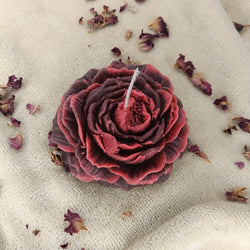 Red & Burgundy Peony - Set of 1